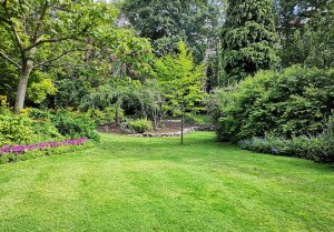 Optimiser l'expérience du jardin à Beaurepaire-sur-Sambre